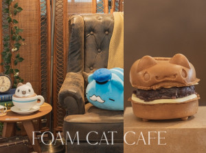 台中市中區新店報報.ᐟ  咖波迷注意，臺中火車站最復古療癒的「奶泡貓咖啡廳」