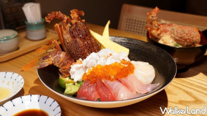 海鮮控吃一整隻龍蝦！日本橋海鮮丼つじ半推出全新「生龍蝦海鮮丼」，超鮮龍蝦肉搭配「蝦膏味噌湯」讓海鮮控一吃就上癮。