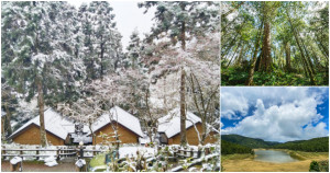 宜蘭台七線上能走訪亞洲最大千年神木群，走進明池、太平山體驗高山湖泊、森林神木如仙境般的美景，有機會還能遇見雪喔。