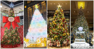 11間飯店耶誕樹、佈景藝術搶先看！君悅必拍十米高聖誕樹、晶華變身紐約耶誕城、高雄洲際化身冬季樂園耶誕城。