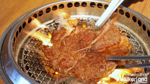 肉肉控現在開吃！超人氣「乾杯燒肉居酒屋」推出重達1公斤的「重磅和牛組合拼盤」，再度搶攻浮誇系燒肉排行榜。