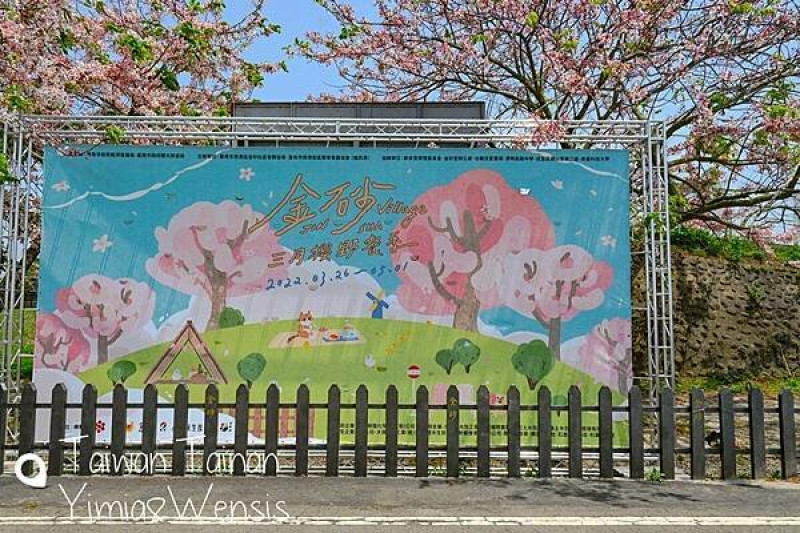 [台南西港]浪漫的粉紅櫻花樹。泰國櫻花~金砂社區花旗木步道