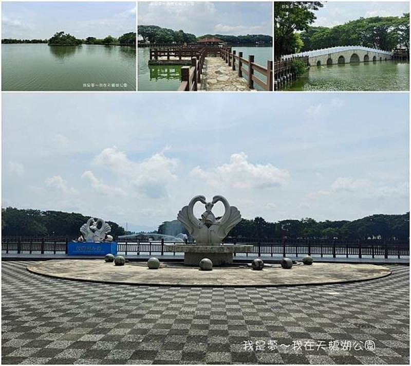 『台南。天鵝湖公園』～新營免費景點／湖光山色／騎單車環湖
