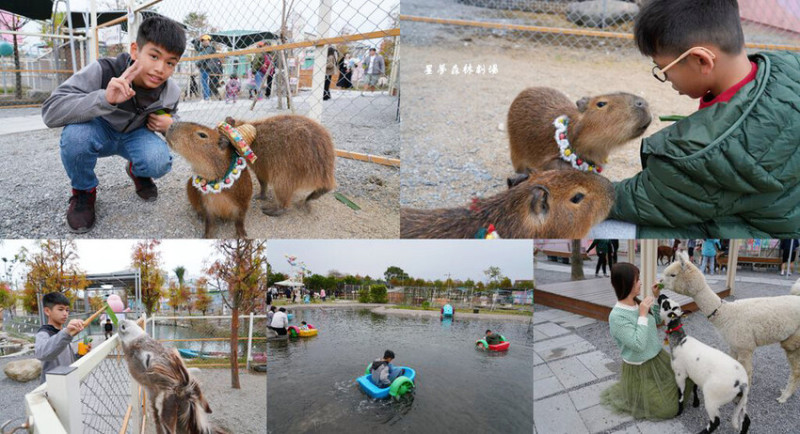 星夢森林劇場 ❙ 會握手的水豚君、熊貓羊，還可以玩手划船、彈跳床等親子設施，宜蘭農場一日遊!