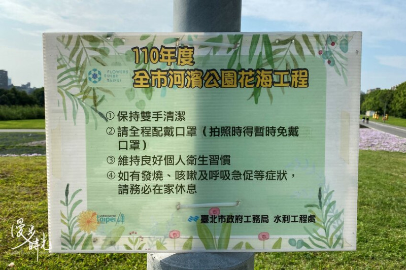 台北／古亭河濱公園花海－這不是國外！搭捷運就能賞大片紫色花海