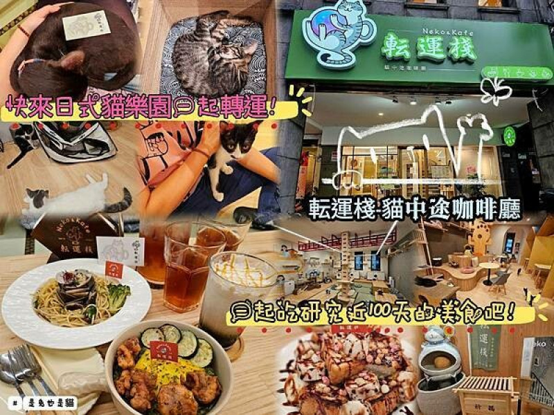 台北転運棧-貓中途咖啡廳是一間跟愛爸合作的中途之家同時也是貓咪咖啡廳，快來日式貓樂園一起轉運一起吃美食吧！！