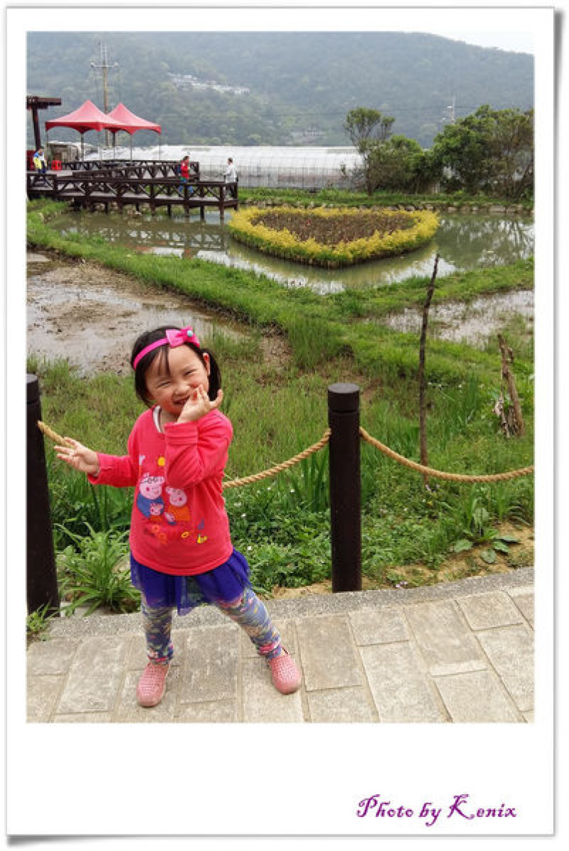 踏青去~台北市內的美景~內湖白石湖吊橋