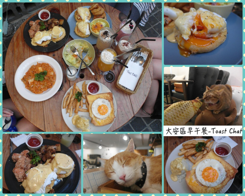 [下午茶、咖啡|美食]國父紀念館早午餐-Toast Chat♥不限時！餐點份量很足！內有喜感貓～