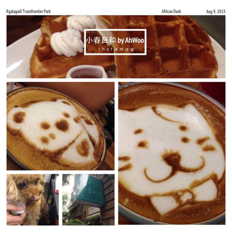 【食記】台北市松山區※寵物集聚好地《小春日和動物雜貨咖啡》