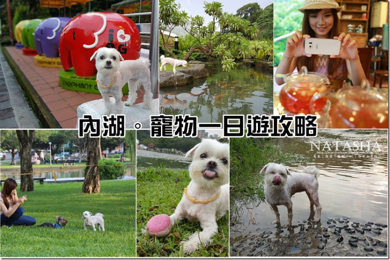 台北。內湖│寵物攻略│毛小孩在城市裡的田園冒險一日全攻略。帶著Samsung Galaxy S6來場城市輕旅行