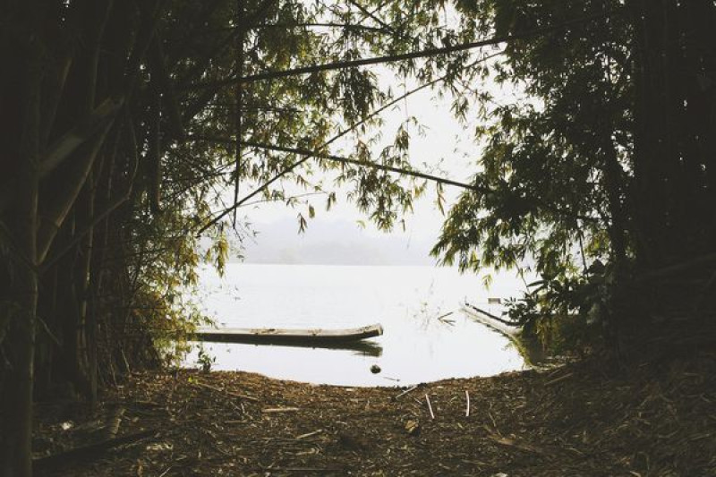 【台南六甲】『夢之湖』私房景點♡臥虎藏龍般的竹林秘境倒映著湖光水色