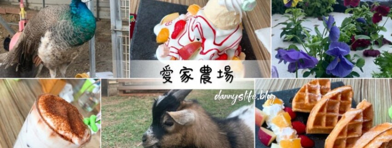 愛家農場 ｜新竹香山區•寵物友善•親子同遊還有跳跳羊 - 丹尼的吃喝玩樂