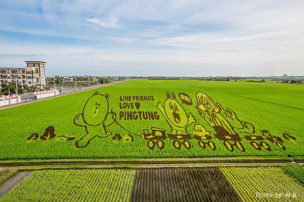 LINE FRIENDS彩繪稻田：【遊記】｛屏東。南州｝「全球首發 LINE FRIENDS彩繪稻田」就在2015屏東國際彩稻藝術節