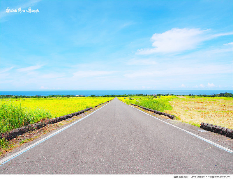 照片中的画面 一条笔直的道路两旁都是稻田  道路尽头是蔚蓝太平洋