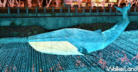 最新免費打卡點有夠夢幻！「2020屏東綵燈節」強勢打造派對動物趴，超巨型「蔚藍系鯨魚」領軍進攻IG打卡牆。