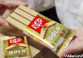 金色KitKat一定要拍！全新KitKat「黃金巧克力四指包」強勢登場，再加碼「KitKat金磚巧克力」讓巧克力控先拍美照發IG。