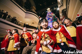 君悅聖誕樹點燈了！台北君悅酒店搶攻信義區「耶誕打卡點」必拍清單，八萬盞燈、萬件精美裝飾、十米高聖誕樹，怎麼拍都好看。