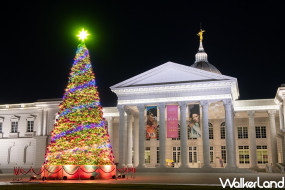 13公尺高聖誕樹點燈了！奇美博物館「幸福聖誕樹」11/19正式亮相，「聖誕週末」12/18登場，聖誕舞會、聖誕市集，陪台南人一起過聖誕節。