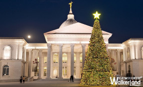 史上最文藝聖誕樹！奇美博物館推出「HOHOHO聖誕週末」，用典藏、音樂、市集點綴聖誕節，再加碼12歲以下免費入場。