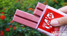 少女一定要搶「紅寶石巧克力」！KitKat強勢推出夢幻粉紅色「KitKat Ruby」限定巧克力，再加碼櫻花季第二件六折。