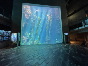 【屏東親子景點】國立海洋生物博物館-必拍的巨藻展示缸，必看的企鵝與小白鯨，豐富的展示內容進行一場海洋生物的探索之旅