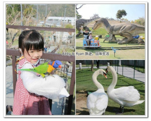 【南投景點】JOJOZOO+PARK九九峰動物樂園~亞洲最大鳥類主題樂園。動物互動超有趣！