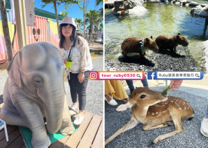 【宜蘭羅東親子景點】星夢森林劇場-會握手的水豚君，近距離與可愛動物互動餵食，一票玩兩區｜Ruby說美食享受旅行(@tour_ruby530)