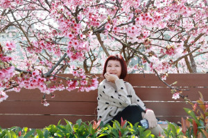 滿滿櫻花盛開被飄落的粉嫩櫻花打臉，超幸福！櫻花花期到229要把握機會～