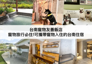【三大台南寵物友善飯店】寵物旅行必住!