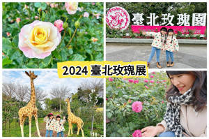 2024臺北玫瑰展，全台最大最美的玫瑰展! 賞玫瑰、看飛機還能玩公園，親子一日遊推薦