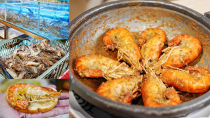 龜山4.9顆星泰國蝦餐廳！屏東直送三層活氧過濾，提供12種泰國蝦料理，都是現點現撈～