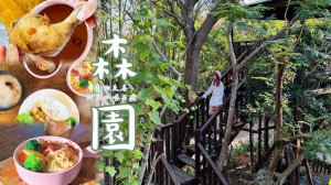 新竹 新豐 新開幕不限時無低消咖啡莊園 隱身在城市中的森林秘境 『森園寵物友善樹屋咖啡莊園』 一座現實生活中的龍貓場景魔法森林莊園