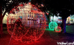 中壢人拍起來！中壢人第一顆聖誕樹就在「大江購物中心」正式點燈，21顆巨型LED燈球、北極熊雪屋再次讓大江被擠爆。