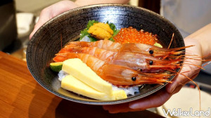 海鮮控連吃6天！日本橋海鮮丼つじ半推出「全品項主餐買一送一」優惠，加碼全新「日本極上黑鮪丼、牡丹蝦海鮮丼」讓海鮮控吃到停不下來。
