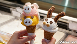 新竹人搶吃「動物造型冰淇淋」！台南高人氣手工冰淇淋「六月三十」快閃巨城，超療癒「兔兔、獅子冰淇淋」限量開賣。