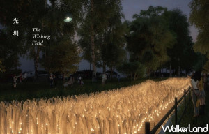 2021台灣燈會在新竹！挑戰歷屆最潮燈會「未來風Hsinchu Style」展期公開，「3800盞稻穗燈海、古蹟光雕投影」攻佔新竹人手機記憶體。