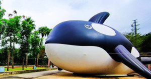 20公尺虎鯨台北就有了！台北人都知道的「2020公館聖誕季」這天免費入場，超療癒「4隻巨型虎鯨」搶攻台北人耶誕最萌打卡點。