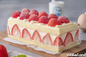 一次吃15顆草莓！TARTINE唐緹推出冬季限定「豪華極品草莓蛋糕」，草莓元寶、草莓蛋糕捲同步開吃。
