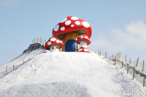 6米高巨大蘑菇搶拍！最新打卡點「Good!菇菇!」就在七股鹽山，巨大蘑菇搶攻最夯年節走春景點。