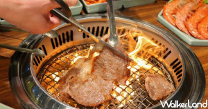 100元肉肉吃起來！韓國直火燒肉「姜滿堂」推出百元料理抽獎活動，超狂「日本和牛、秘製甕醃燒肉條」最低100元就能吃。