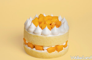 水果系甜點控！法式甜點「TARTINE唐緹」推出「盛夏芒果季」主打金黃爆量愛文芒果甜點與蛋糕，一次六款愛文芒果系列甜點。