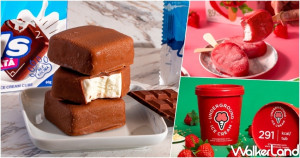 冷凍庫該補貨了！冰品控要搶3款「北歐冰淇淋新品」口袋名單，全新「立方體雪糕、草莓果肉冰淇淋」冰品控都要吃。