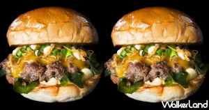 日本龍漢堡來了！日本京都「龍漢堡 Dragon Burger 」快閃台北12天，冠軍可可漢堡、經典龍漢堡、柚子胡椒漢堡、松露藍紋起司漢堡，漢堡控不能錯過。