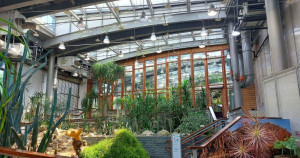 竟然在中山區！免費森林系景點「台北典藏植物園」搶打卡，不用日曬雨淋「室內森林玻璃屋」台北人沒去過太遜。
