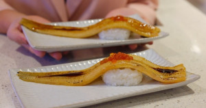 爭鮮吃得到大星鰻壽司！爭鮮迴轉壽司「豪邁一本星鰻」浮誇開賣，再加碼「櫻桃鴨、天使紅蝦」小奢華壽司吃起來。