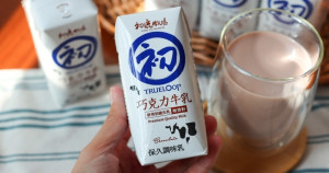 初鹿牧場巧克力牛乳回歸！保久乳「初鹿牧場巧克力牛乳」全聯強勢開賣，初鹿牧場生乳、乳含量50％喝起來。