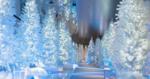 空中雪白森林美翻天！2023大阪「梅田藍天大樓」聖誕活動登場，「北歐風雪白森林、全新銀河系步道」倒數一週把握時間拍爆。