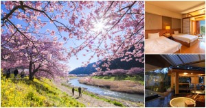 伊豆半島最美的賞櫻渡假飯店！能免費漫步於800株河畔櫻花樹下，還能大吃美食和泡湯。