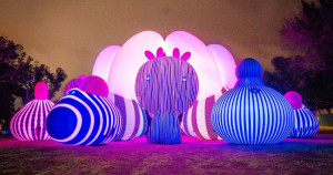 挑戰最美桃園燈會！2024桃園燈會「澳洲光雕展、古著風市集」5大亮點免費拍，龍年小提燈發放時間曝光。