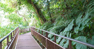 連台大生都吃驚！藏在台北公館步道秘境「小觀音山木棧道」零基礎輕鬆走，捷運出站10分鐘就到。